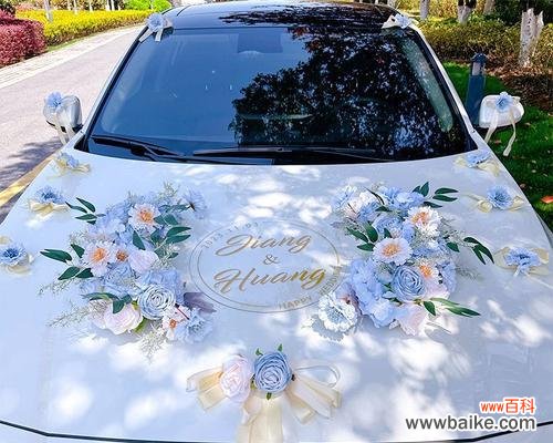 蓝色婚车花代表什么?它的寓意是什么?
