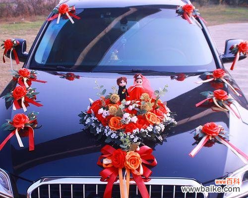 蓝色婚车花代表什么?它的寓意是什么?