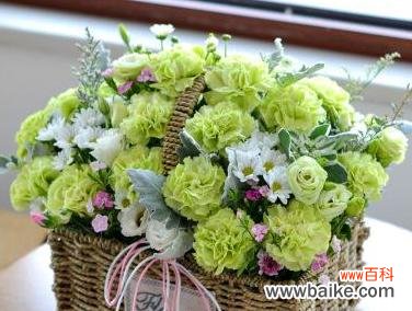 康乃馨花语的魅力与象征意义 绿色康乃馨花语的深意——探索康乃馨的独特含义