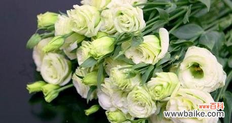 探究绿色玫瑰的花语和寓意 绿色玫瑰花语