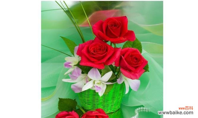 探究绿色玫瑰的花语和寓意 绿色玫瑰花语