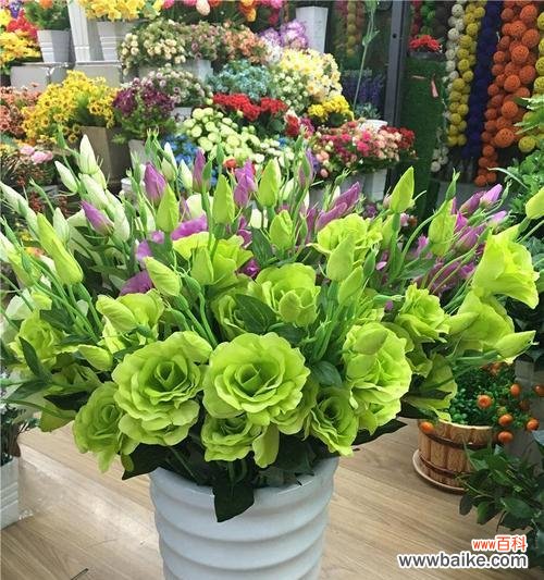 揭示绿色洋桔梗所代表的积极寓意与象征意义 绿色洋桔梗的花语与意义