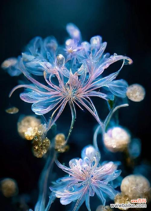 蓝色彼岸花束的寓意是什么？