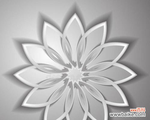 黑灰色的花象征什么?黑灰色的花的含义是什么?