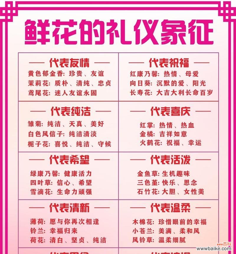 节日送花有哪些寓意?花语如何表达问候?