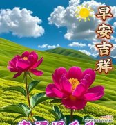 节日送花有哪些寓意？花语如何表达问候？