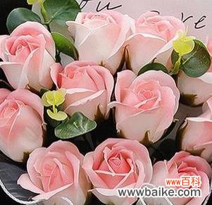 情人节送什么花最浪漫?情人节花语有哪些?