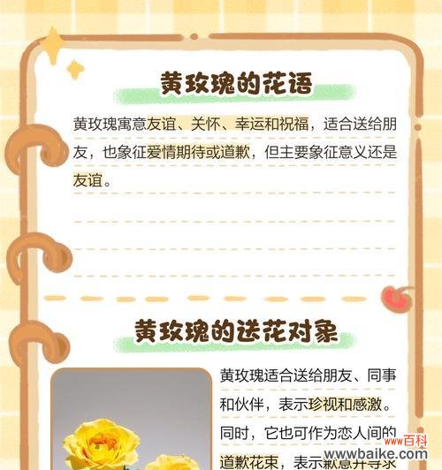 哪些花象征着爱情和友情?