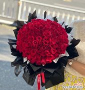 一朵花所承载的情感和象征 玫瑰花的数量与含义