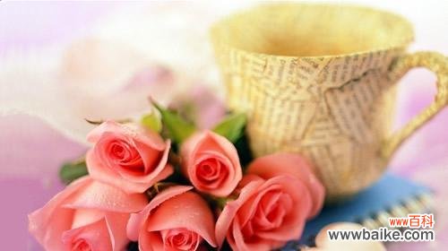 揭开玫瑰花的秘密——从花朵数量到含义的变化 玫瑰花