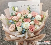 吸色花束的花语是什么？