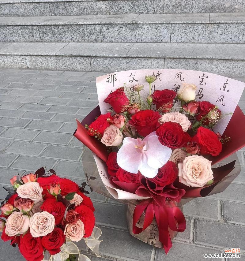 吸色花束的花语是什么?