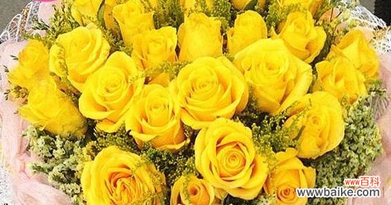 黄色花通常寓意着什么？希望的象征有哪些？