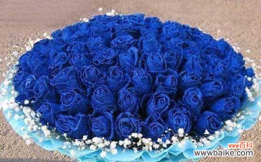 探寻玫瑰花蓝色妖姬的美丽与神秘 玫瑰花蓝色妖姬的象征意义与魅力