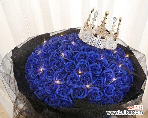 探寻玫瑰花蓝色妖姬的美丽与神秘 玫瑰花蓝色妖姬的象征意义与魅力