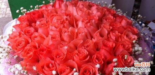 以玫瑰花送几朵代表什么 玫瑰花的象征意义与赠送数量