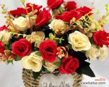 探索玫瑰花各色花瓣背后的隐含寓意 玫瑰花的颜色意义