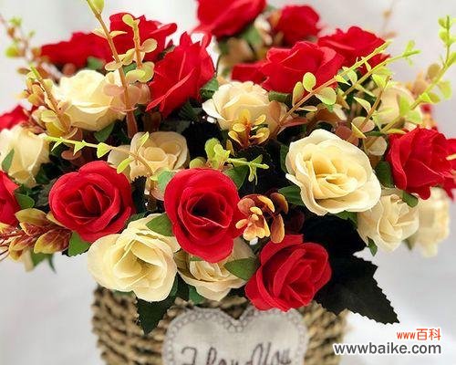 探索玫瑰花各色花瓣背后的隐含寓意 玫瑰花的颜色意义