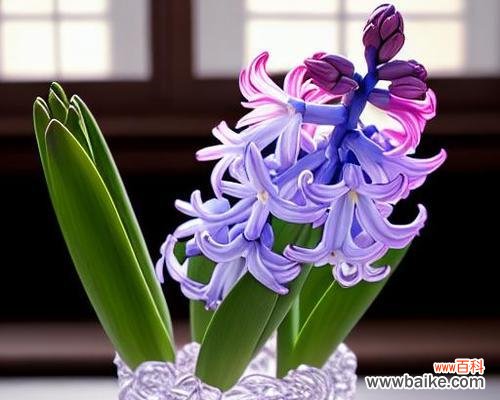 什么花对爱情的寓意最好?它们各自代表什么?