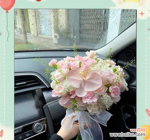 哪些花语象征平和?手捧花中哪些花象征平和?