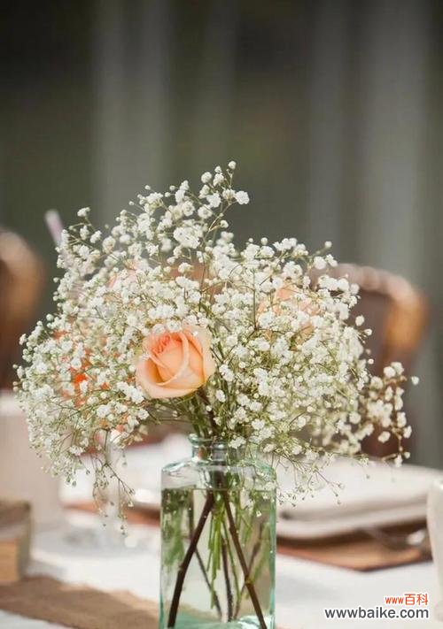 神秘与美丽的满天星花 满天星花的传说与花语