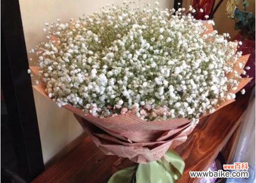 美丽而神秘的满天星花 满天星花的象征意义及文化传承