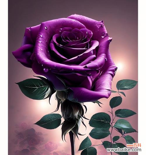 哪种花象征坚强的爱情?不软弱爱情的花语是什么?