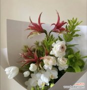 哪种花象征坚强的爱情？不软弱爱情的花语是什么？