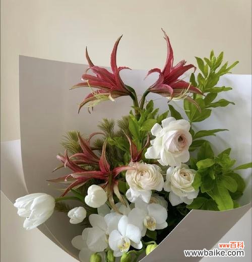 哪种花象征坚强的爱情?不软弱爱情的花语是什么?