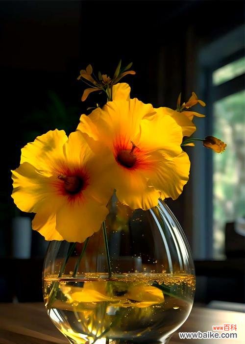 桔黄色花送人有何寓意?