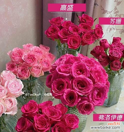 红色玫瑰花送给同事的寓意是什么?职场送花的礼仪有哪些?