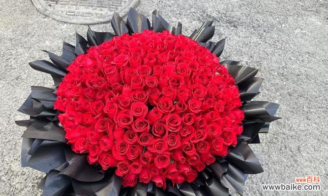 寓意感情幸福的花有哪些？