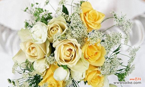 探寻黄玫瑰的深意 黄玫瑰的含义与象征