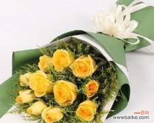 探究黄玫瑰所代表的情感和意义 黄玫瑰几朵代表的深刻含义