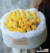 一朵花背后的深意及其象征 黄玫瑰的代表意义——阳光与友谊