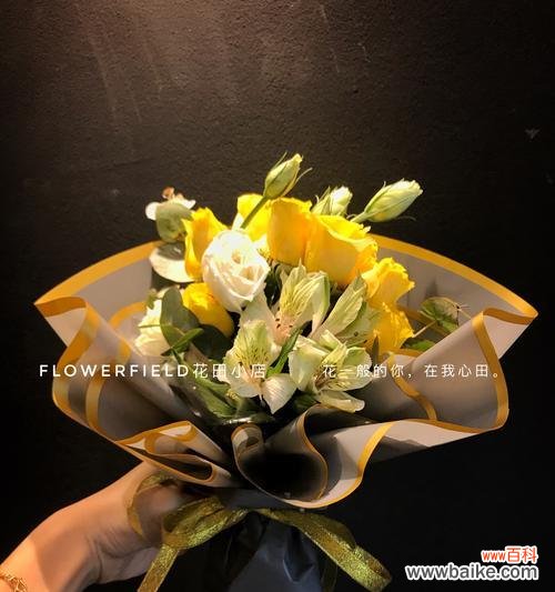 一朵花背后的深意及其象征 黄玫瑰的代表意义——阳光与友谊