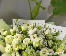 绿色吉梗花的寓意是什么？它象征着什么？