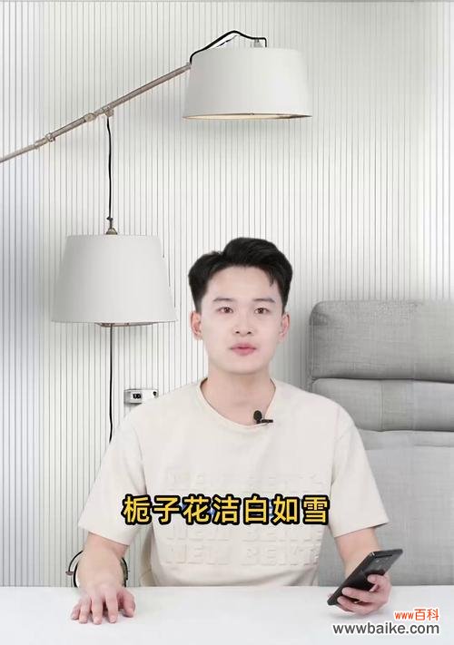 栀子花在端午节有何特别含义？