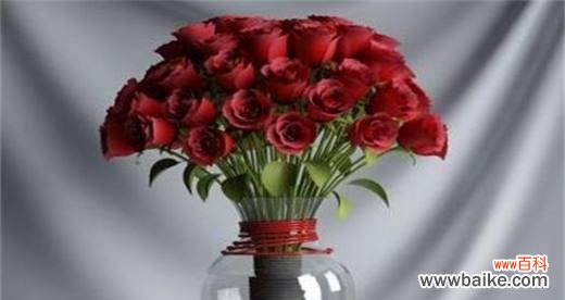 传递爱 玫瑰花的含义与象征