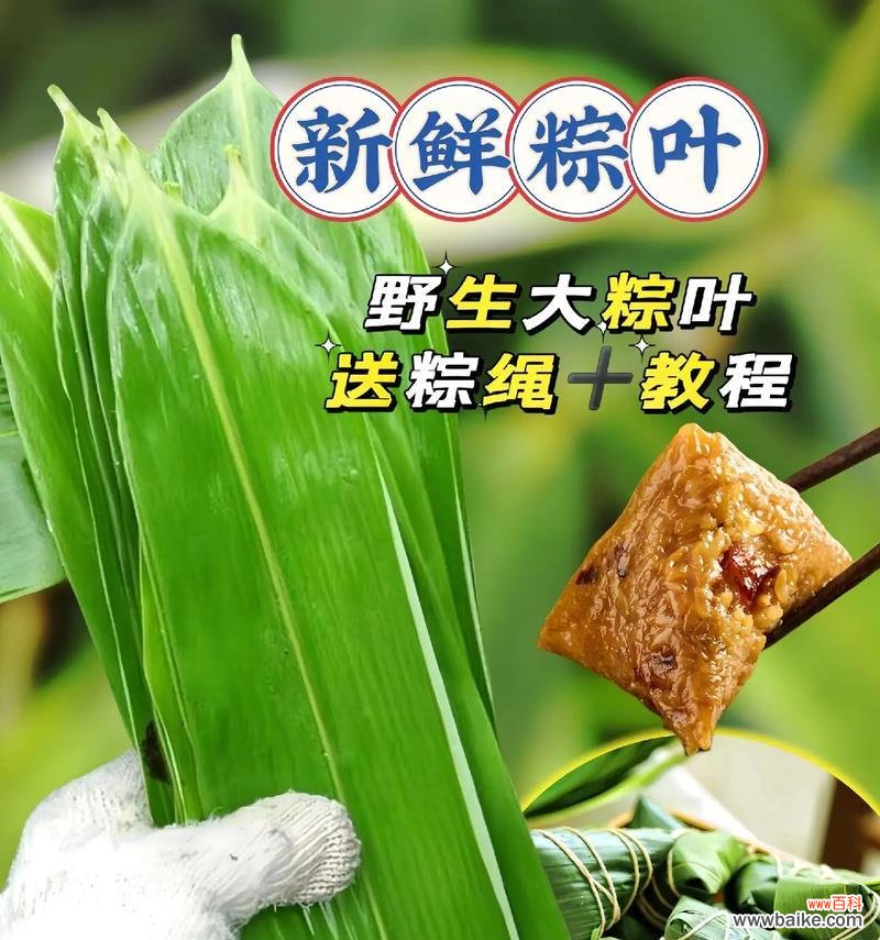 端午节不带粽子花有何寓意?端午节花卉的文化意义?