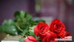 从1朵到15朵 玫瑰花的数量与含义