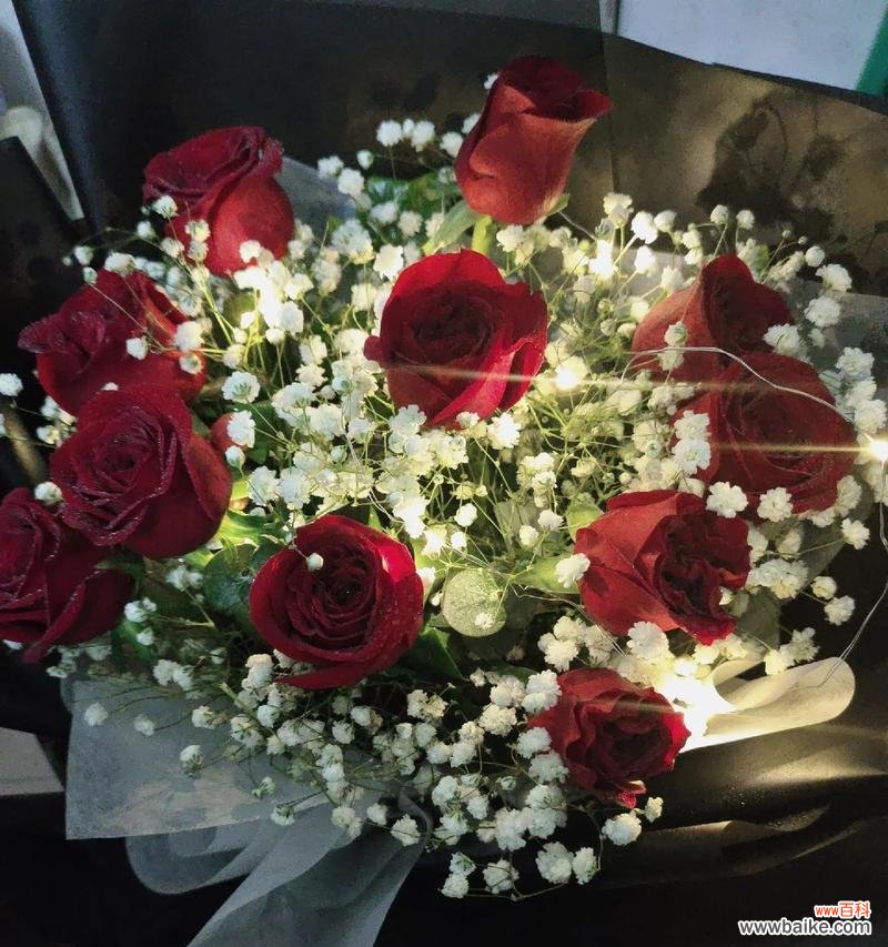 玫瑰花代表忠贞不渝?如何表达爱情忠贞?