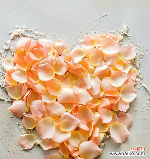 橘色花朵中哪些是爱情的象征?