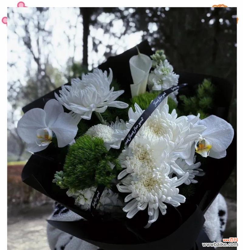 清明节的花有哪些寓意和象征？