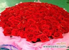 玫瑰花朵数量与情感的深度相关 玫瑰花的语言