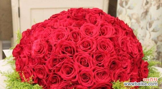 探索玫瑰花的多重意义及其在文化传统中的地位 玫瑰花的象征意义与传承