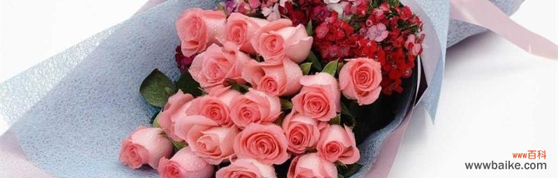 赋予爱情以美丽永恒的象征花束 九朵粉玫瑰的寓意与象征