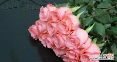 解读玫瑰花语 玫瑰花语的寓意是什么