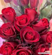 揭开三朵玫瑰隐藏的情感秘密 三朵玫瑰的花语意义是什么