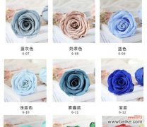 宝蓝色玫瑰花代表什么？宝蓝色玫瑰的象征意义是什么？